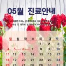 이-편한 이미지