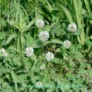 도구머리공원1-2 이미지