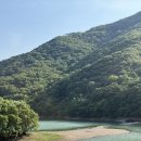 다인휴게실 | 나혼자 광주 근교 숲뷰 대형카페추천 장성 온다인 솔직 후기