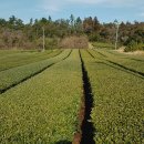 상명목장 이미지