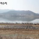 영인면사무소 이미지