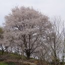 이가형제농장 이미지