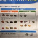 누우래 | 해운대 백병원 종합건강검진 , 오라팡 대장내시경 위내시경 후기