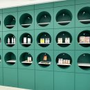 왓숑미용 이미지