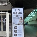 이니즈필라테스 | 재활교정전문 시청역 필라테스 전문적인 니즈필라테스 솔직후기 (강사 추천, 시간표, 운동복 대여)