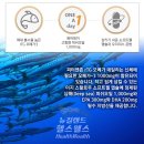 데일리 피쉬 이미지