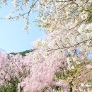 경희해한의원 이미지