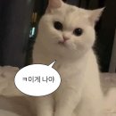 바를정 네일