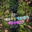 우주상회 | 우리동네 국민상회 방문기/주차, 분위기, 가격, 리뷰,