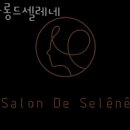 셀레네 이미지
