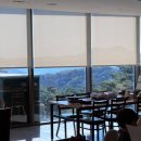 희망의 둥지 | [충북/제천] 들밥애 | 포레스트 리솜 맛집 탐방기 : 희망편