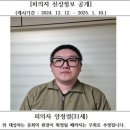 31 이미지