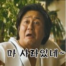 최군로바다야끼양산