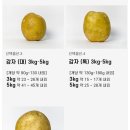 황금농산 이미지