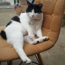 주라울 이미지