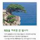초록이야기