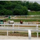 원당목장 이미지