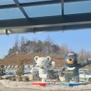 평창사 | 평창 1박 2일 여행 일정, 대관령 눈꽃마을 썰매부터 켄싱턴 호텔 후기, 유명식당까지