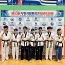 경희대박사 참태권도장 이미지