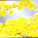 산본중심한의원 | 산본중심한의원 방문 후기 - 내 건강을 되찾다! 🌟