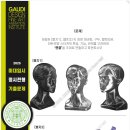 디자인가우디미술학원 - 무안군 대죽동로 32 | 디자인가우디미술학원