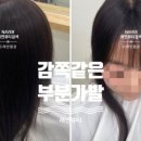 네일;娟[예쁠연] 이미지