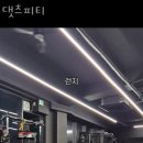 댓츠피티 네이버블로그
