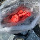 6월 제주 물놀이 가능한 해변 김녕 세기알해변 스노클링 후기