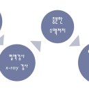 해태동물병원 이미지