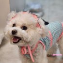 동주풀빌라 이미지