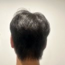 먼내길 | 단백질샴푸 먼프리 이유 있는 탈모샴푸1위