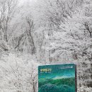 서귀포2청사 이미지