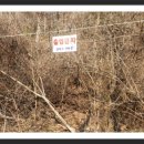 화촌농협주유소 이미지