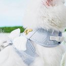 천사애견 이미지