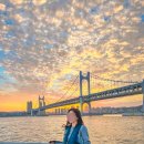 뉴마린빌딩 | 부산 광안리 요트투어 가격 시간 해운대 예약 불꽃놀이 내돈내산