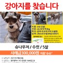 운천로
