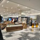 현대유통쇼핑센타 | [상권분석 5] 쇼핑과 체험을 한번에! 신세계백화점 동대구역점 방문 후기!