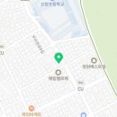 몽블리 펫샵 | 도봉구애견미용 잘하는 몽블리펫샵 후기