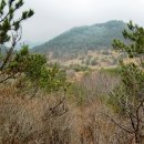 봉도농장 이미지