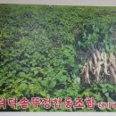 풍년골더덕생삼겹살 이미지