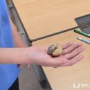 괘법초등학교 이미지