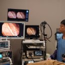 엔도메드 이미지