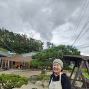 농업회사법인 기장발효주식회사 시사매거진