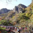 대둔산목장 이미지