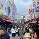대도장식 | 남대문 대도상가 꽃시장 방문후기_봄이 오려나봐요