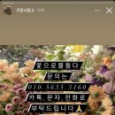 꽃으로물들다