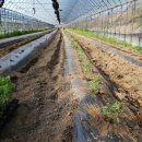 물안골농장 이미지