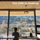 화개농원 | 야생차 박물관_티카페 하동_ 하동 도재명차(유자홍차)_쌍계명차 우전 구매_내돈내산 후기_화개장터 맛집