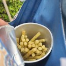 당쟁이로 이미지