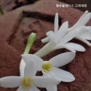 밸류플레이스고려대점